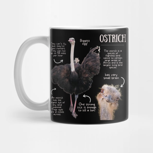 Animal Facts - Ostrich by Animal Facts and Trivias